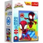 Minipuzzle miniMAXI 20 dielikov Spidey a jeho úžasní priatelia 4 druhy