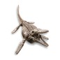 Vykopávka - Mosasaurus - skladacia kostra