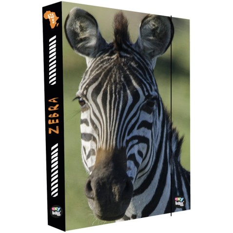 Box na zošity A4 Jumbo Zebra II