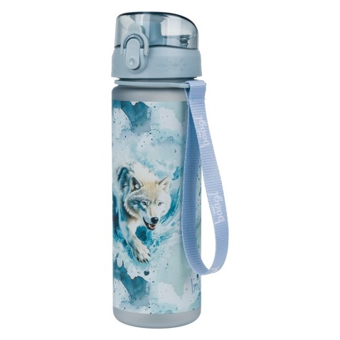 Tritanová fľaša na pitie BAAGL Polar, 500 ml
