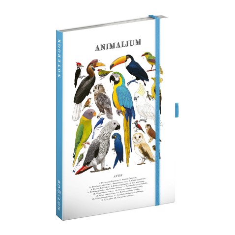 NOTIQUE Zápisník Animalium – Vtáky, linajkovaný, 13 x 21 cm