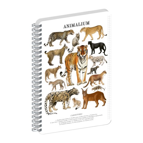 NOTIQUE Špirálový blok Animalium – Mačkovité šelmy, štvorčekovaný, A4