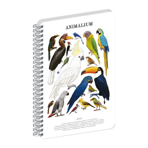 NOTIQUE Špirálový blok Animalium – Vtáky, čistý, A5
