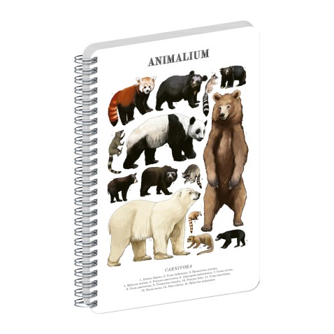 NOTIQUE Špirálový blok Animalium – Medveďovité šelmy, čistý, A5