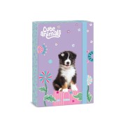 Box na zošity A4 Ars Una Cute Animals - Aussie