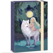 Box na zošity A4 Ars Una Northern Lights