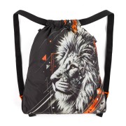 Vak na chrbát Bagmaster VEGA 26 A