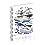 NOTIQUE Špirálový blok Animalium – Pod morom, linajkovaný, A4