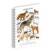 NOTIQUE Špirálový blok Animalium – Psovité šelmy, linajkovaný, A5