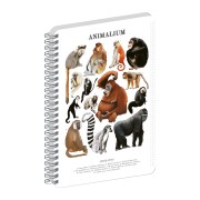 NOTIQUE Špirálový blok Animalium – Primáty, štvorčekovaný, A5