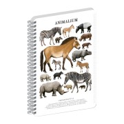 NOTIQUE Špirálový blok Animalium – Nepárnokopytníky, štvorčekovaný, A5