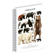 NOTIQUE Špirálový blok Animalium – Medveďovité šelmy, čistý, A5